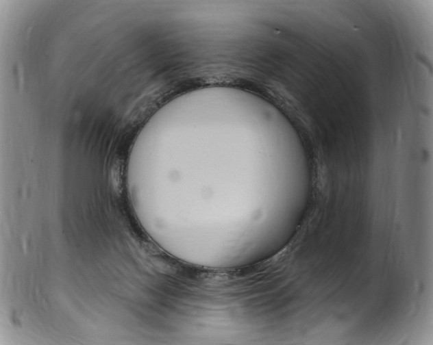 X0000101650074200807100949