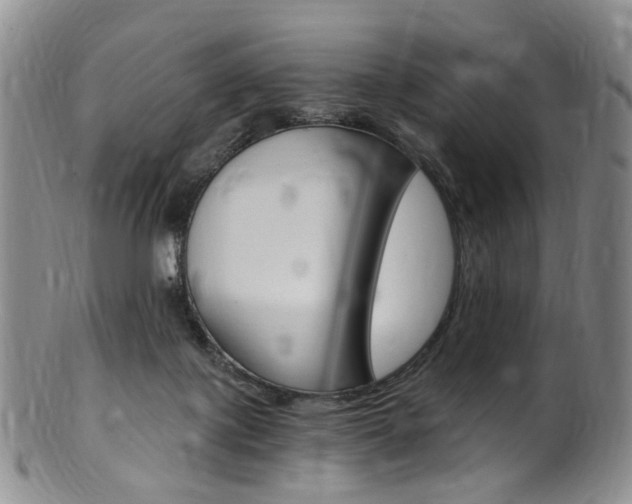 X0000101650075200807100949