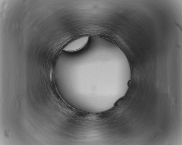 X0000101650076200807100950