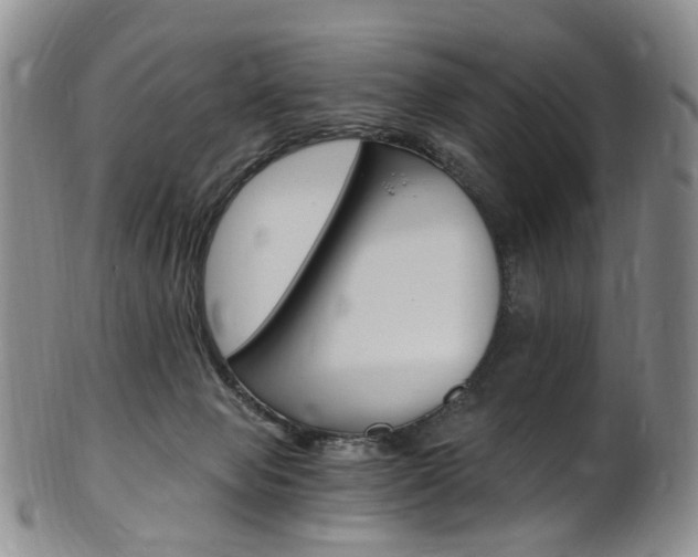 X0000101650077200807100950