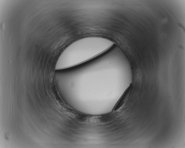 X0000101650078200807100950