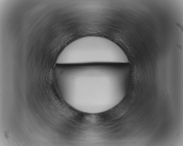 X0000101650079200807100950
