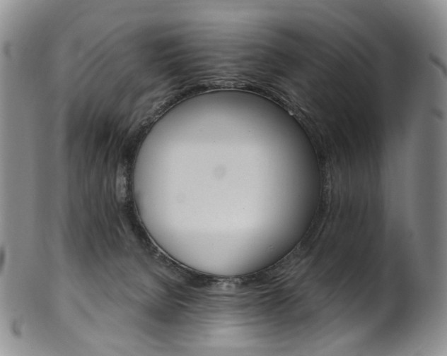X0000101650080200807100950
