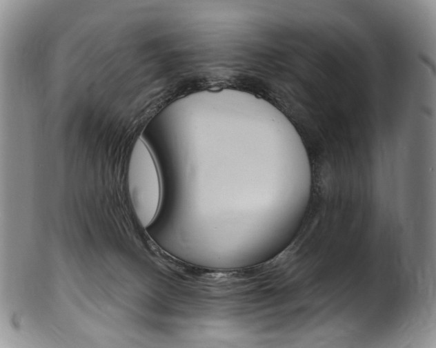 X0000101650082200807100950
