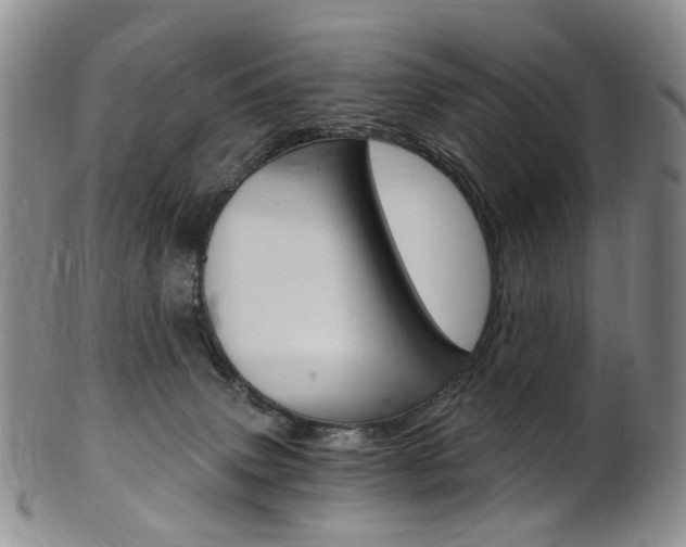 X0000101650083200807100950