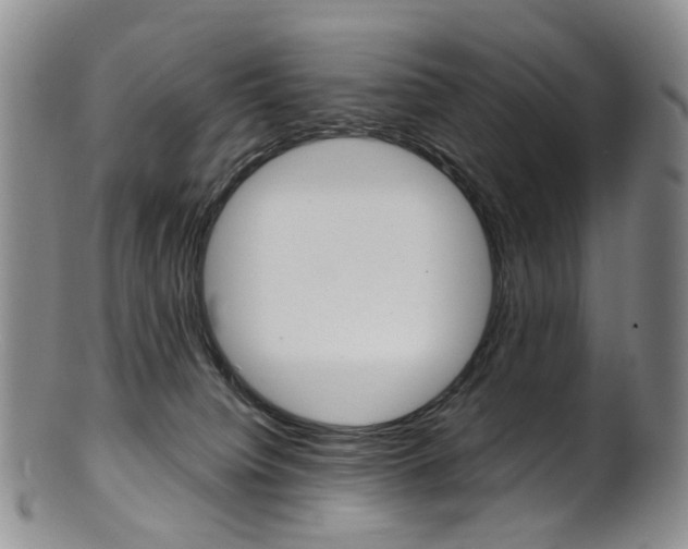 X0000101650084200807100950