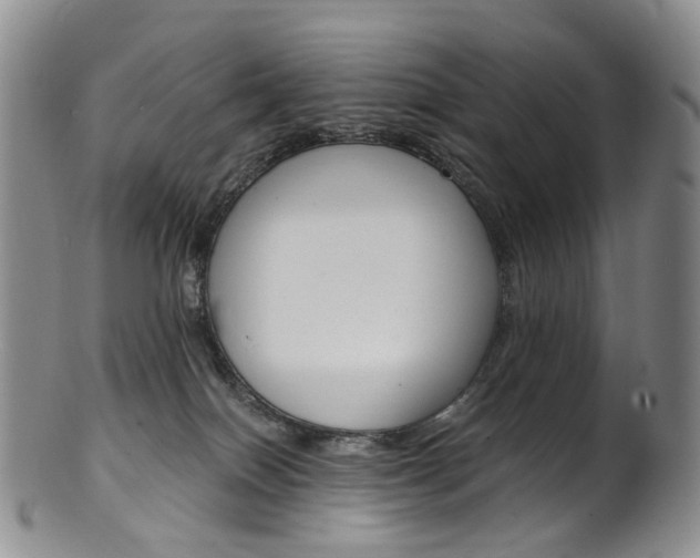 X0000101650086200807100950