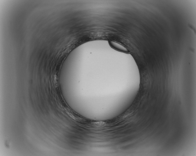 X0000101650087200807100950