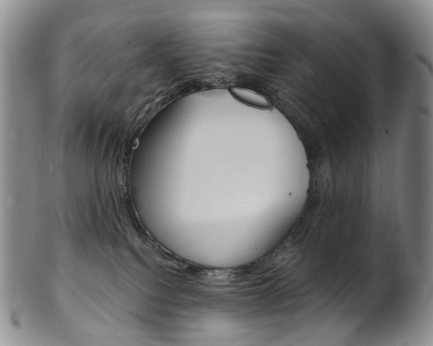 X0000101650088200807100950