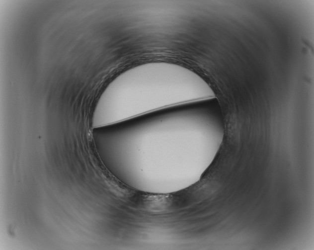 X0000101650089200807100950