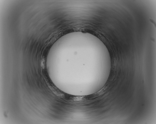 X0000101650090200807100950