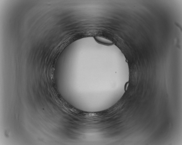 X0000101650091200807100950