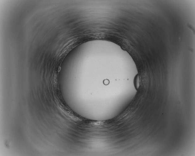 X0000101650092200807100950