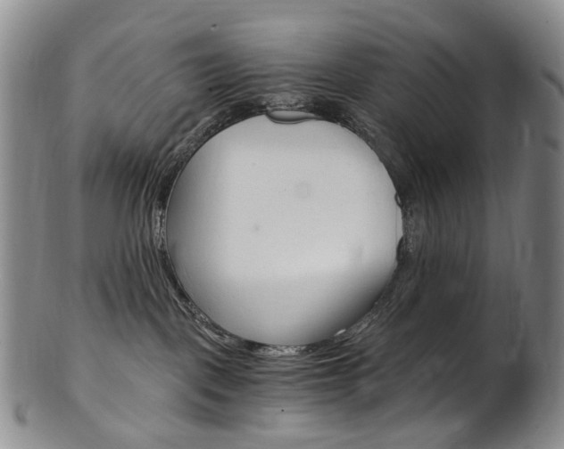 X0000101650093200807100950