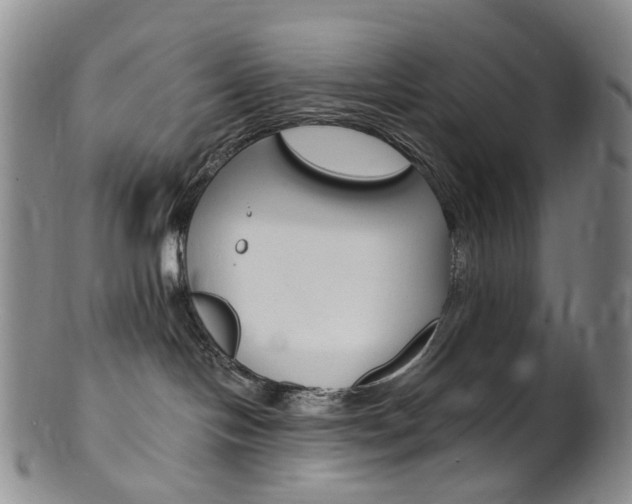 X0000101650094200807100950