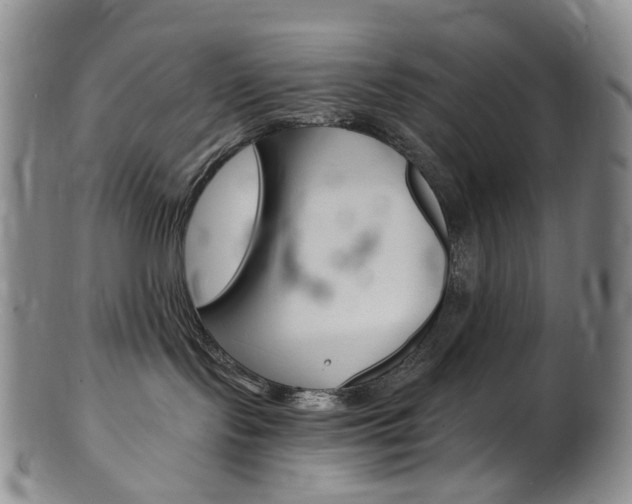 X0000101650095200807100950