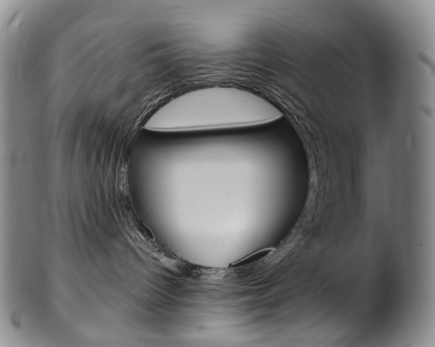 X0000101650096200807100950