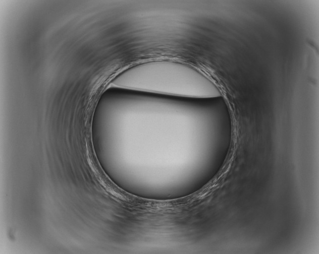 X0000101650097200807100949