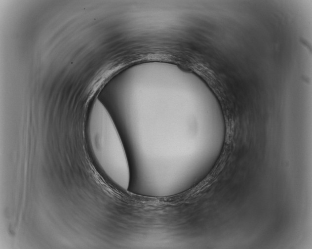X0000101650098200807100949