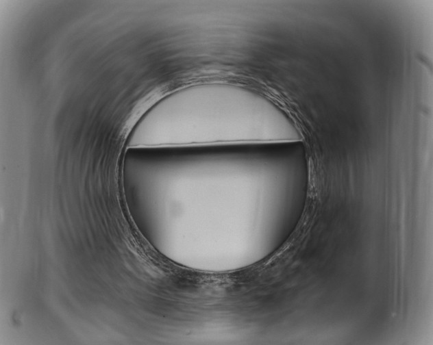 X0000101650099200807100949
