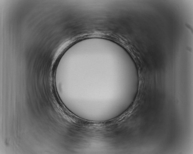 X0000101650102200807100949