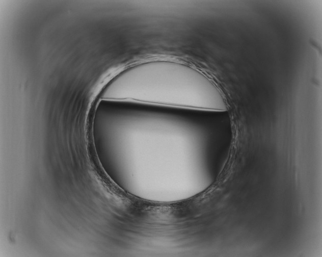 X0000101650104200807100949
