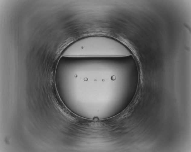 X0000101650105200807100949
