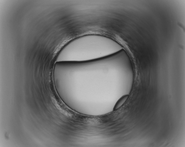 X0000101650106200807100949