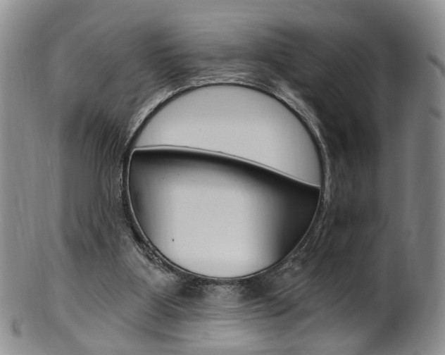 X0000101650107200807100949