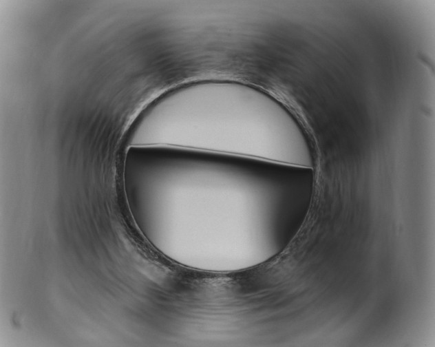 X0000101650108200807100949