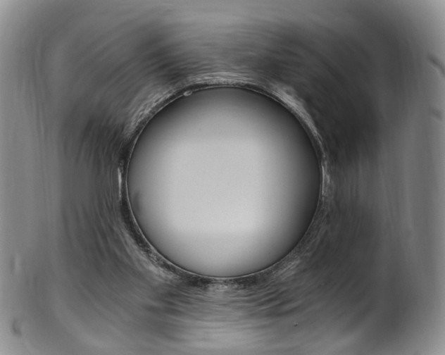 X0000101650109200807100949