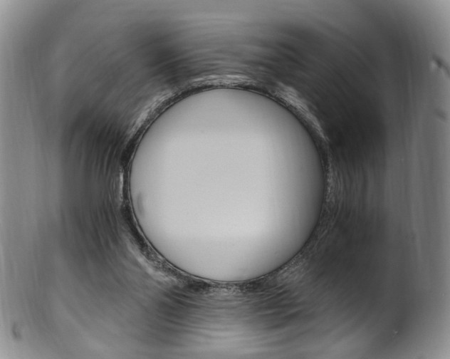X0000101650110200807100949