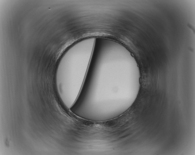 X0000101650111200807100949