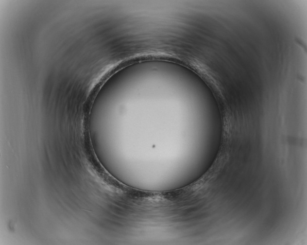 X0000101650112200807100949