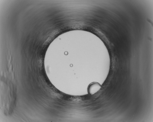X0000101650113200807100949