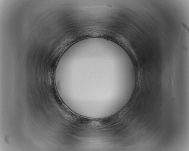 X0000101650114200807100949