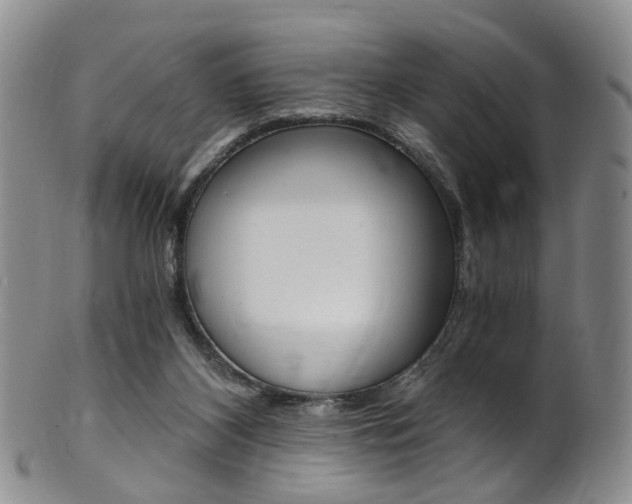 X0000101650116200807100949