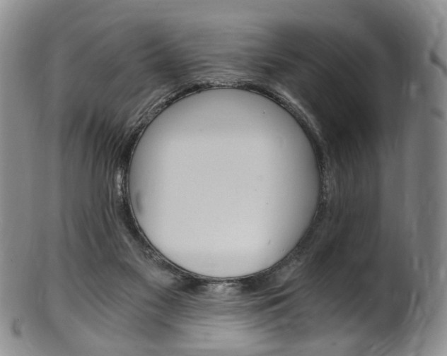 X0000101650117200807100949