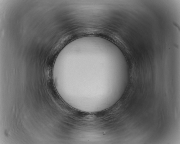 X0000101650119200807100949
