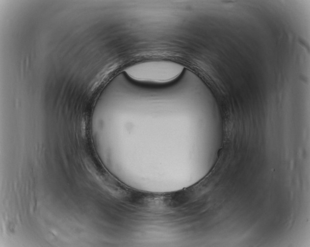 X0000101650120200807100949