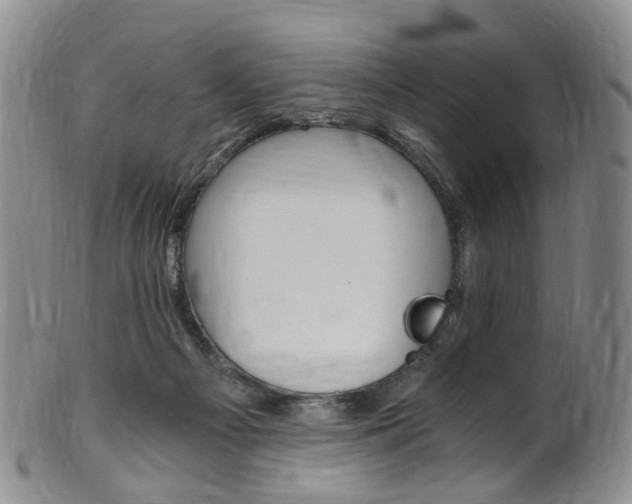 X0000101650121200807100949
