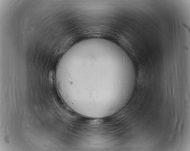 X0000101650122200807100949