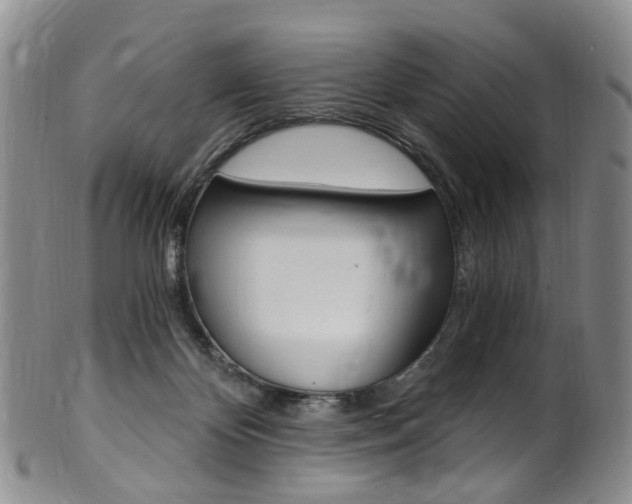 X0000101650124200807100949