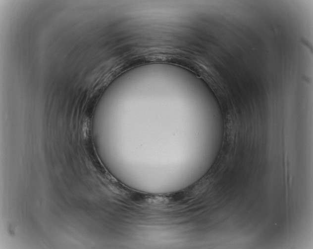 X0000101650125200807100949