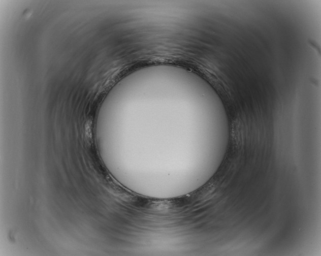 X0000101650127200807100949