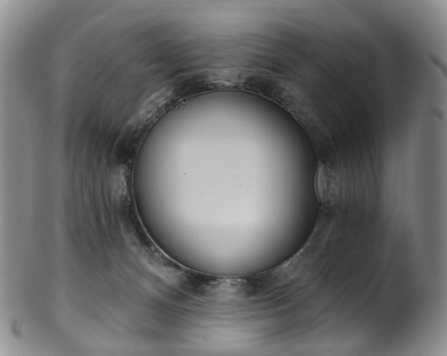 X0000101650128200807100949