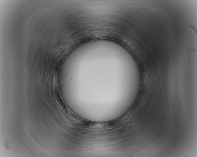 X0000101650129200807100949