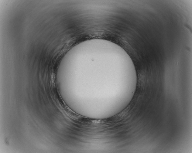 X0000101650130200807100949