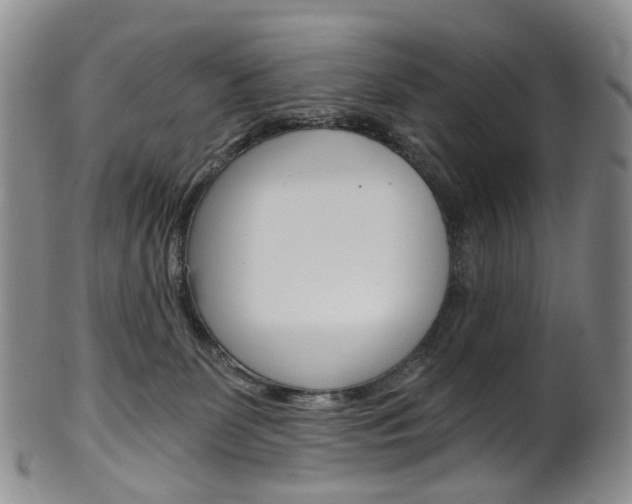 X0000101650131200807100949