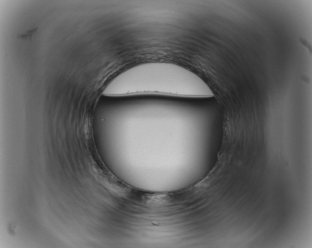 X0000101650132200807100949